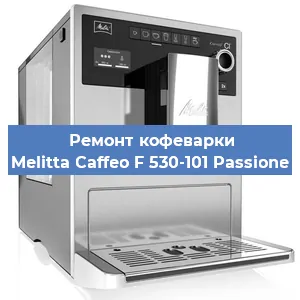 Чистка кофемашины Melitta Caffeo F 530-101 Passione от кофейных масел в Нижнем Новгороде